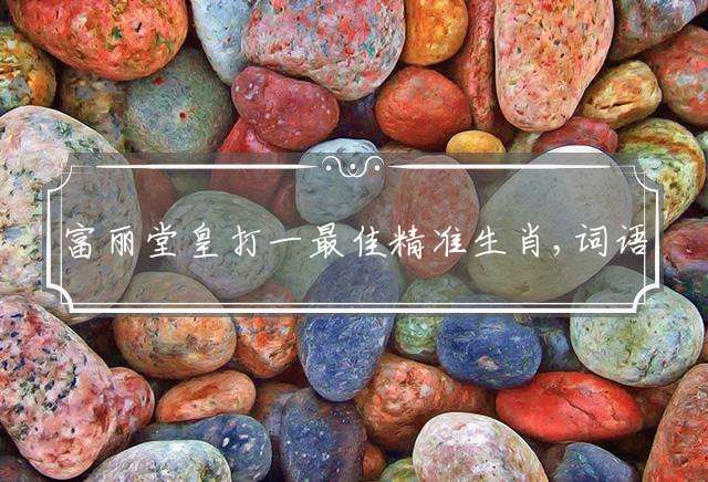 富丽堂皇打一最佳精准生肖,词语作答解析解释