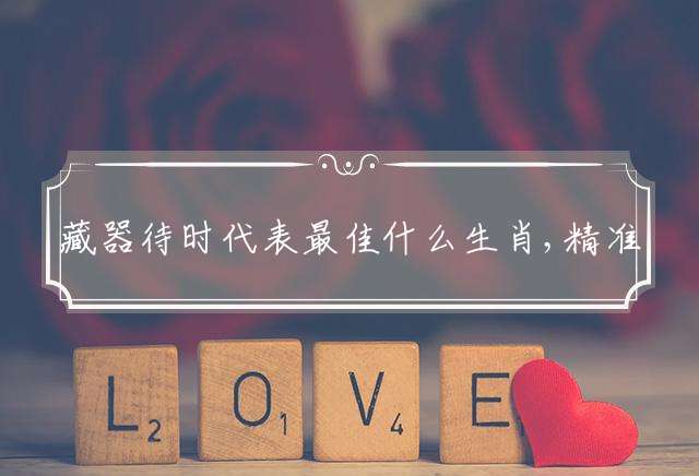 藏器待时代表最佳什么生肖,精准释义成语详解