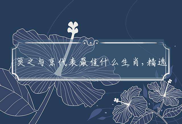 莫之与京代表最佳什么生肖,精选词语释义详解