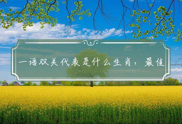 一语双关代表是什么生肖，最佳释义详细解释