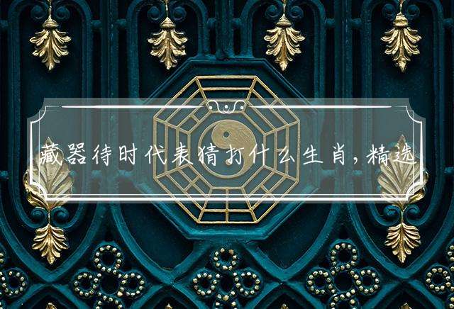 藏器待时代表猜打什么生肖,精选释义词语解释