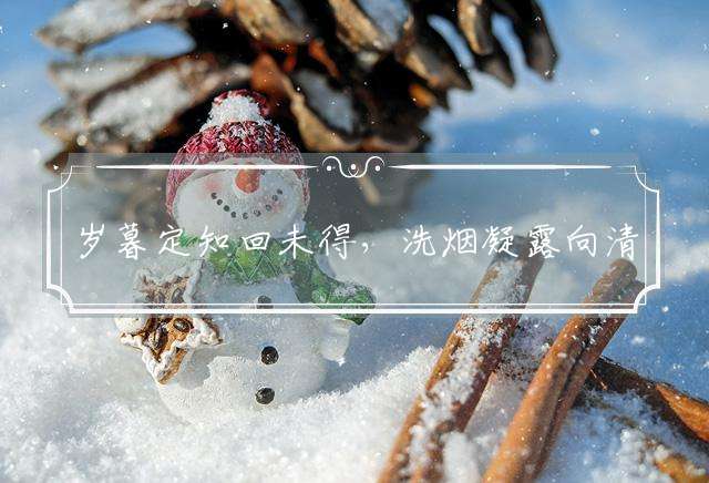 岁暮定知回未得，洗烟凝露向清晓打一正确精准生肖，释义解释解答