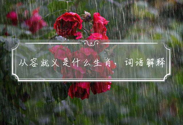 从容就义是什么生肖，词语解释解答释义