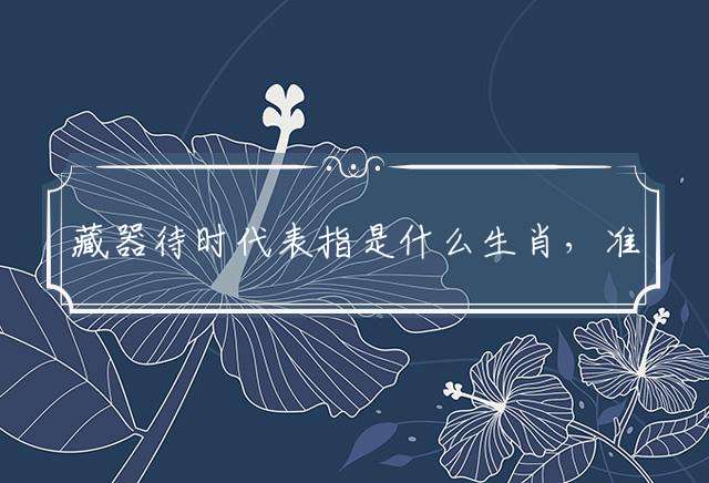 藏器待时代表指是什么生肖，准确释义解释答案