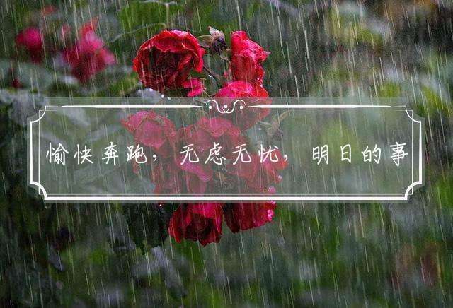 愉快奔跑，无虑无忧，明日的事明日愁代表指是什么生肖,最佳谜语优先解释