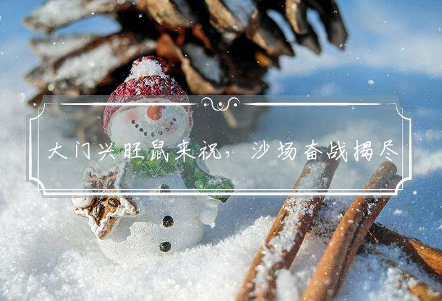 大门兴旺鼠来祝，沙场奋战揭尽力指代表哪个生肖，严选解释落实释义