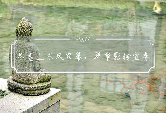 尽卷上东风帘幕，翠华影转宜春苑代表最佳什么生肖,精选词语释义解答