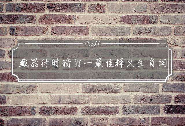 藏器待时猜打一最佳释义生肖词语解释