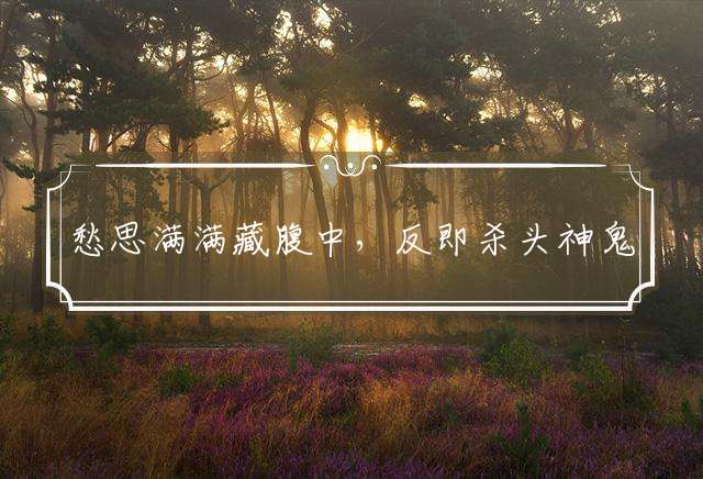 愁思满满藏腹中，反即杀头神鬼骂猜打最佳什么生肖，精选释义谜底解释