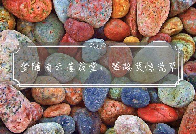 梦随南云落翁堂，辇路莫惊荒草暗指代表是什么生肖,经典词语释义解释