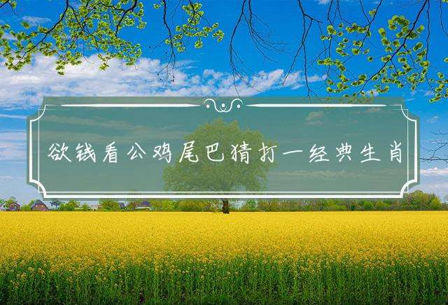 欲钱看公鸡尾巴猜打一经典生肖，释义准确作答解释